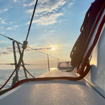 Filet de filière maille losange Brin de 2mm ou 4 mm